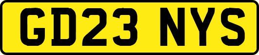 GD23NYS