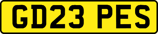 GD23PES