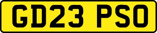 GD23PSO