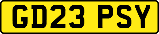 GD23PSY