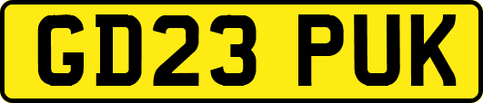 GD23PUK