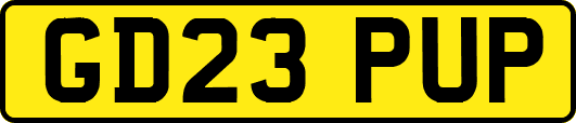 GD23PUP