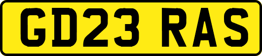 GD23RAS