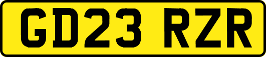 GD23RZR