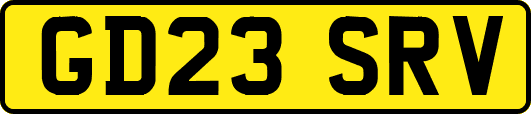 GD23SRV