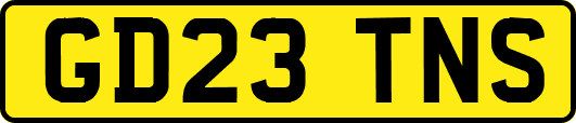 GD23TNS