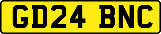 GD24BNC