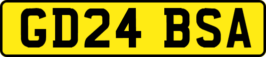 GD24BSA