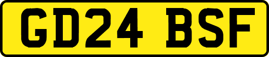 GD24BSF