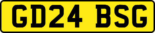 GD24BSG