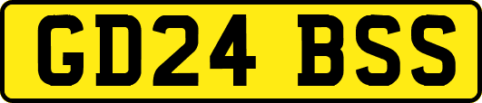 GD24BSS