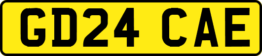 GD24CAE