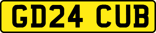 GD24CUB
