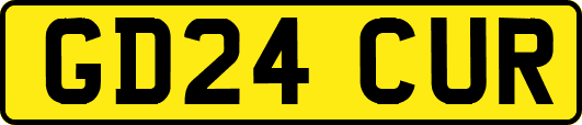 GD24CUR