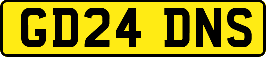 GD24DNS