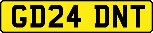 GD24DNT