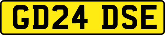 GD24DSE