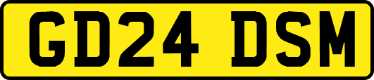 GD24DSM