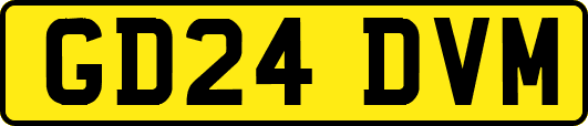 GD24DVM