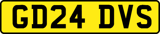 GD24DVS