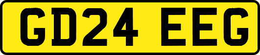 GD24EEG