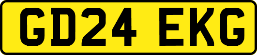 GD24EKG