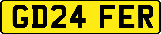 GD24FER