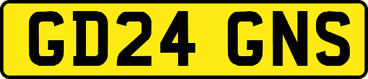 GD24GNS