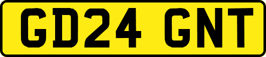 GD24GNT