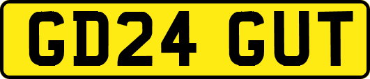 GD24GUT