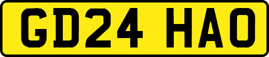 GD24HAO