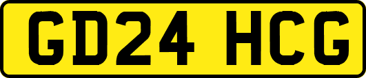 GD24HCG