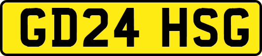 GD24HSG