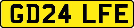 GD24LFE