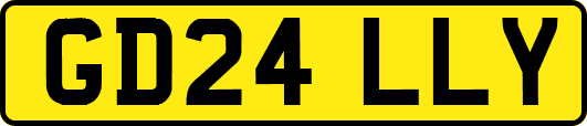 GD24LLY