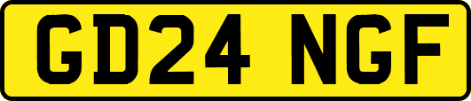 GD24NGF