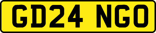GD24NGO
