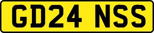 GD24NSS