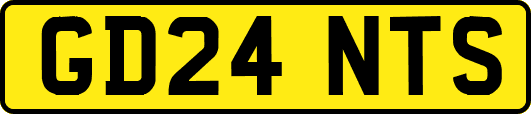 GD24NTS