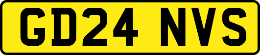 GD24NVS