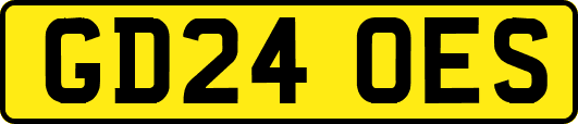 GD24OES