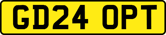 GD24OPT