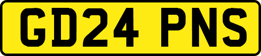 GD24PNS