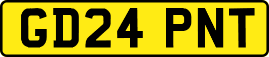GD24PNT