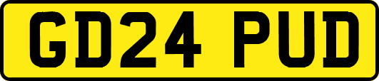 GD24PUD