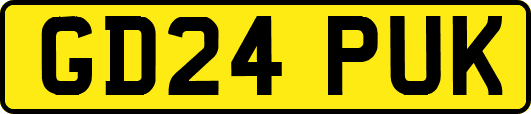 GD24PUK