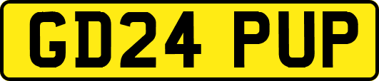 GD24PUP