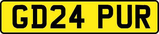 GD24PUR