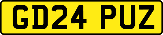 GD24PUZ
