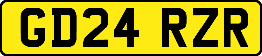 GD24RZR